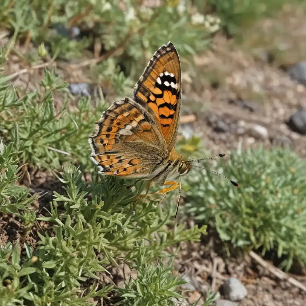 Enhancing Biodiversity in West Kirby through Citizen Science Monitoring Programs