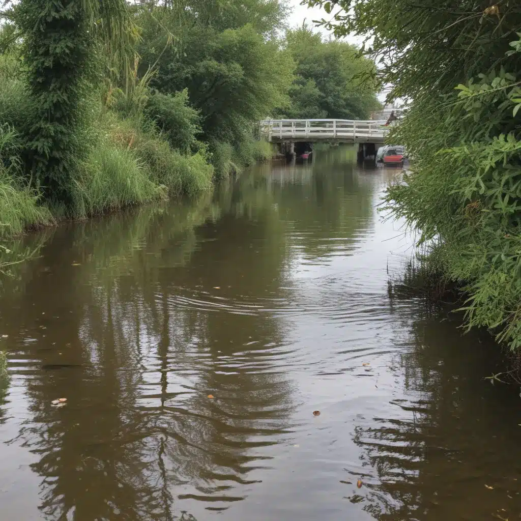 Improving Water Quality in West Kirby’s Waterways through Collaborative Efforts