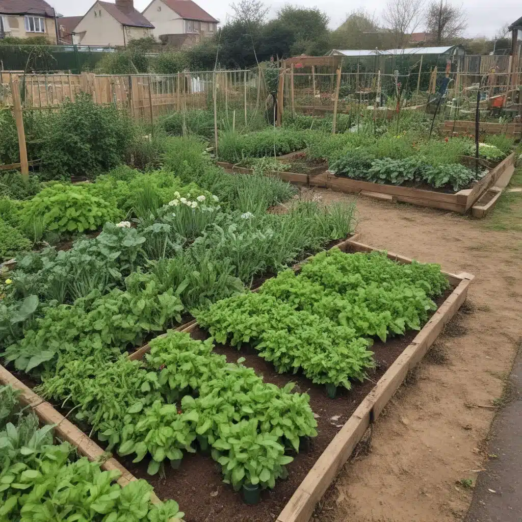 Promoting Sustainable Urban Farming in West Kirby’s Community Gardens